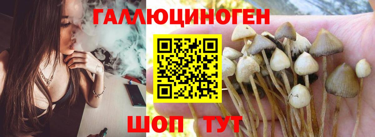 Псилоцибиновые грибы Psilocybine cubensis  Вход с VPN  Туапсе 