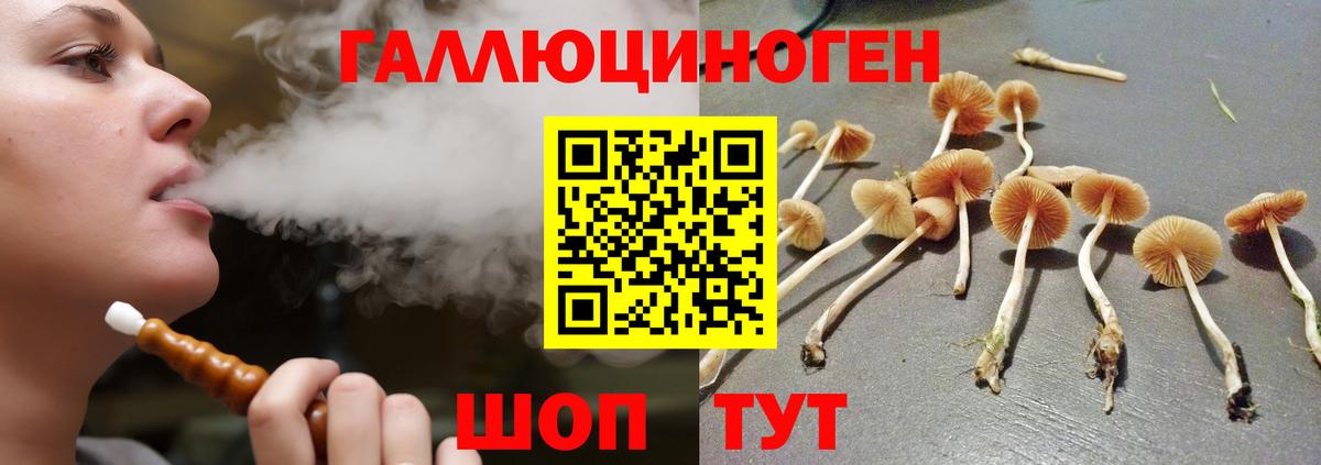 Галлюциногенные грибы мухоморы Туапсе